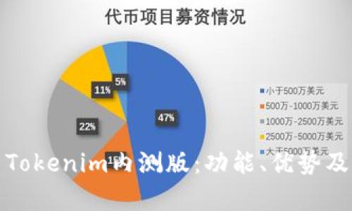 深入解析Tokenim内测版:功能、优势及用户体验