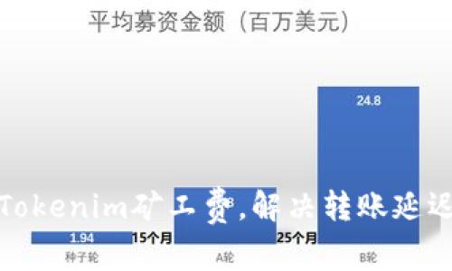 如何Tokenim矿工费,解决转账延迟问题