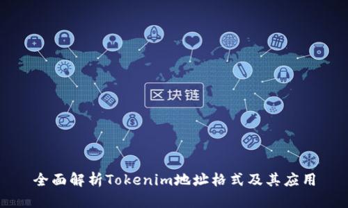 全面解析Tokenim地址格式及其应用