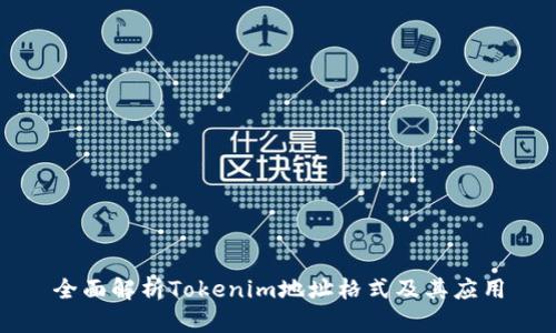 全面解析Tokenim地址格式及其应用