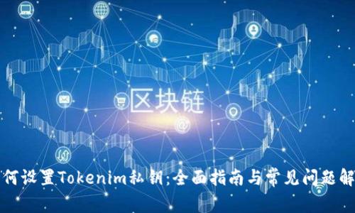 如何设置Tokenim私钥:全面指南与常见问题解答
