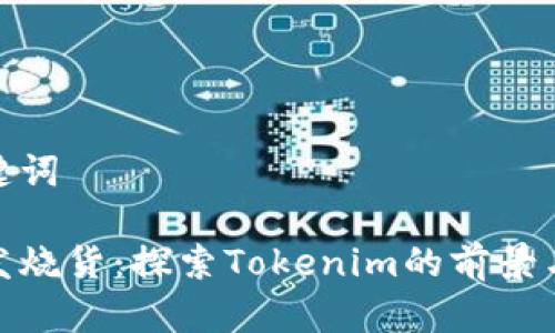 和关键词
跨境发烧货:探索Tokenim的前景与机遇
