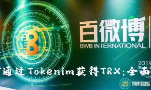 如何通过Tokenim获得TRX:全面指南
