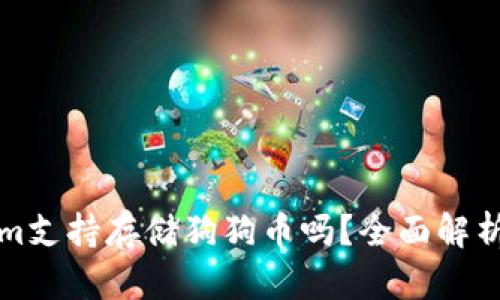 Tokenim支持存储狗狗币吗?全面解析与指南