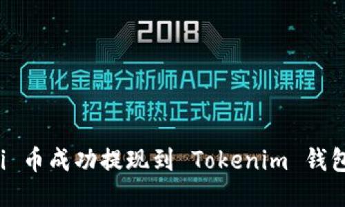如何将 Shi 币成功提现到 Tokenim 钱包：全面指南