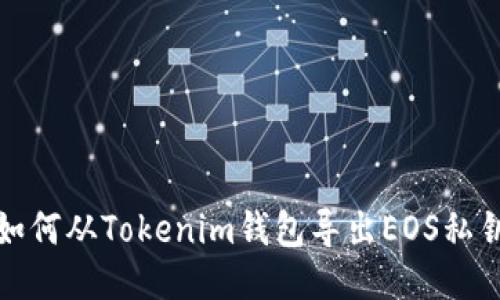 如何从Tokenim钱包导出EOS私钥