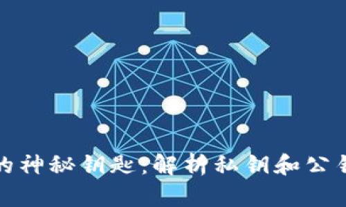 揭秘区块链的神秘钥匙：解析私钥和公钥的运作机制