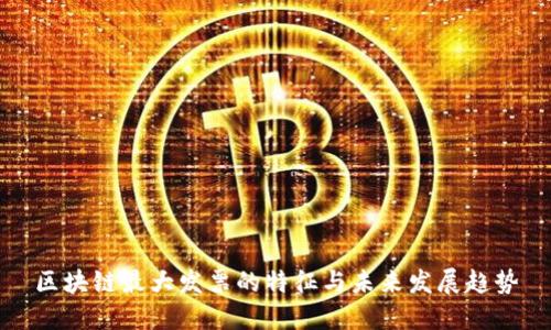 区块链最大发票的特征与未来发展趋势