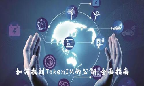 如何找到TokenIM的公钥：全面指南