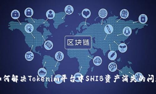 如何解决Tokenim平台中SHIB资产消失的问题