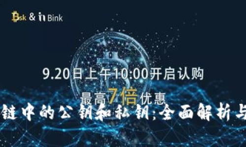 区块链中的公钥和私钥：全面解析与应用