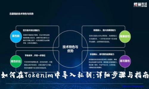 如何在Tokenim中导入私钥：详细步骤与指南