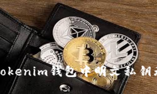 如何解决Tokenim钱包中明文私钥无效的问题