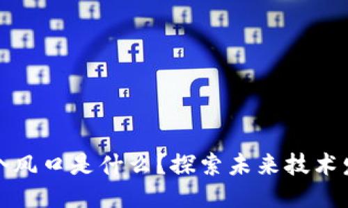 的优质
区块链下一个风口是什么？探索未来技术发展的新趋势