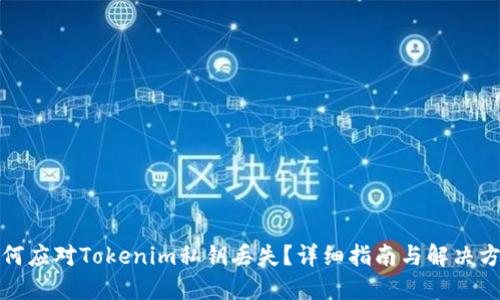 如何应对Tokenim私钥丢失？详细指南与解决方案