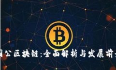 国公区块链：全面解析与