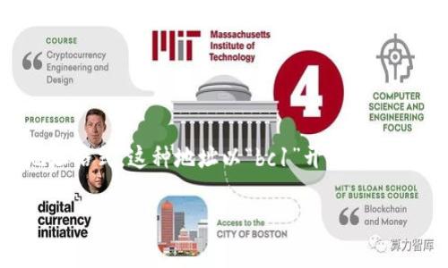 区块链的TV开头地址通常指的是比特币的“原生 SegWit 地址”，即通过 BIP 173 标准所定义的地址格式。这种地址以“bc1”开头，后面则接有一串字符。通常说的“TV”地址其实是指一些特定的格式或系统用以标识特定类型的交易地址。

### 区块链地址解读：TV开头的是什么地址？