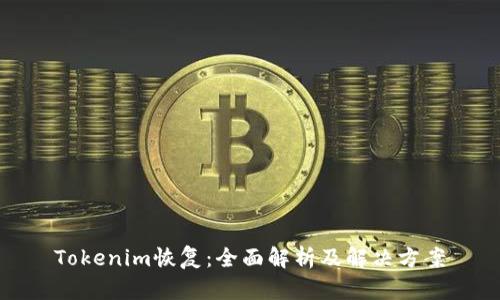 Tokenim恢复：全面解析及解决方案