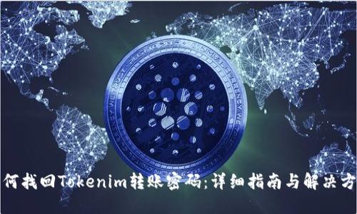 如何找回Tokenim转账密码：详细指南与解决方案