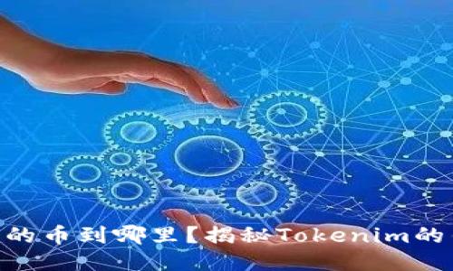 Tokenim子地址收的币到哪里？揭秘Tokenim的钱包与子地址管理