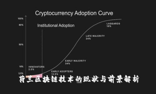 荷兰区块链技术的现状与前景解析