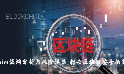 Tokenim漏洞分析与风险评估：打击区块链安全的新挑战