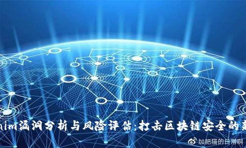 Tokenim漏洞分析与风险评估：打击区块链安全的新挑战