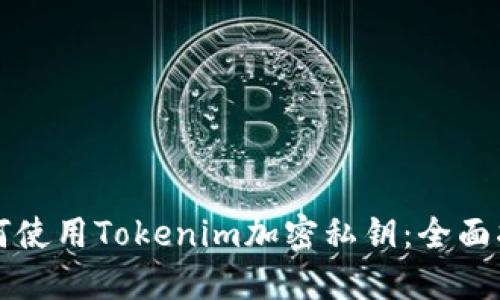 如何使用Tokenim加密私钥：全面指南