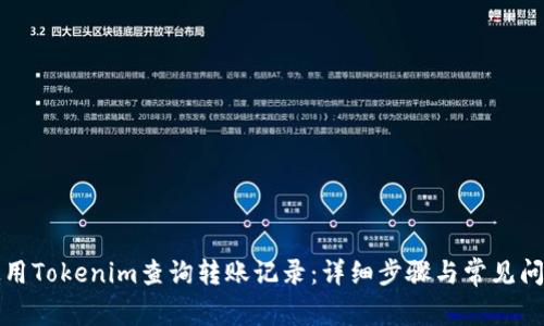如何使用Tokenim查询转账记录：详细步骤与常见问题解答