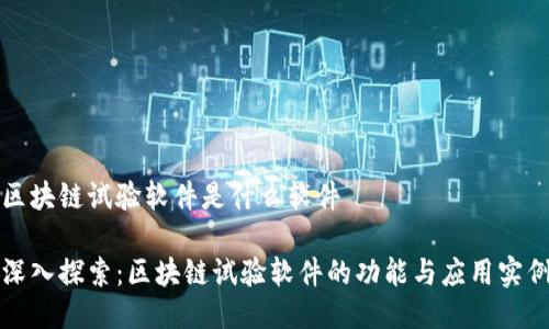 区块链试验软件是什么软件

深入探索：区块链试验软件的功能与应用实例
