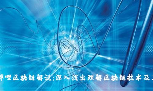 哔哩哔哩区块链解说：深入浅出理解区块链技术及其应用