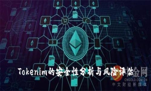 Tokenim的安全性分析与风险评估