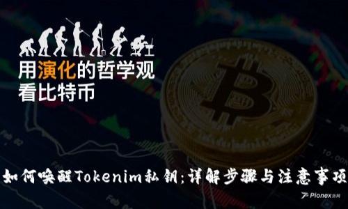 如何唤醒Tokenim私钥：详解步骤与注意事项