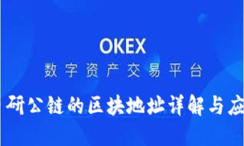 自研公链的区块地址详解与应用